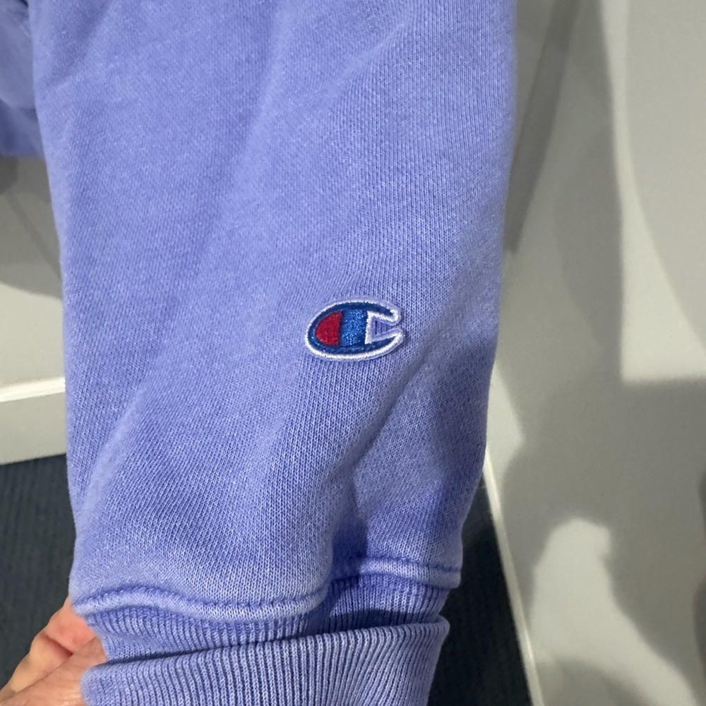 Champion Men's Cornflower Blue Hoodie - Picture 5 of 5